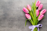 Fototapeta Tulipany - Tulip pink, on the gray background.