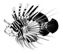 Tropical Fish. Vector Illustration