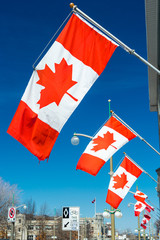 canadian flags waving over blue sky