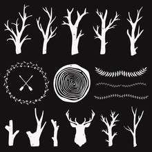 Vector Graphic Set With Forest Design Elements. Branches, Tree Rings, Leaf Dividers. Tribal And Boho Style. Rustic Design.