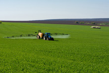 Tractor Spraying Pesticide In A Field Of Wheat