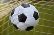 © Mikael Damkier - soccer ball
