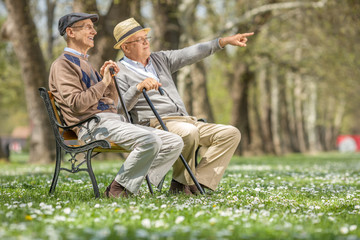 Wall Mural - Senior showing something to his friend