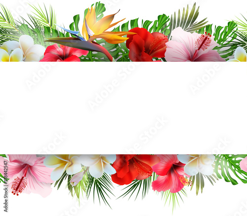Seamless Horizontal Border With Tropical Flowers Summer Background Concept With Space For Your Text Template Vector Buy This Stock Vector And Explore Similar Vectors At Adobe Stock Adobe Stock