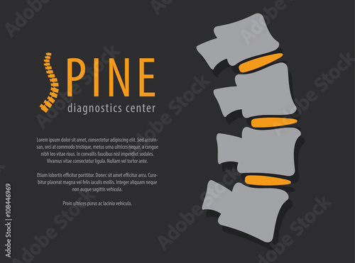 Fotografía Spine anatomy with disc, medical conceptual infographic vector