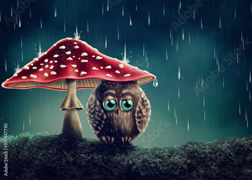 Little owl under mushrooms Poster Mural XXL