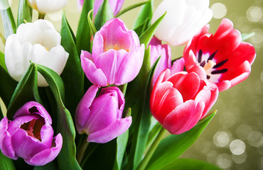 Canvas Print - Tulips close up