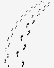 Wall Mural - Black footprints of man and dog, turn right, vector