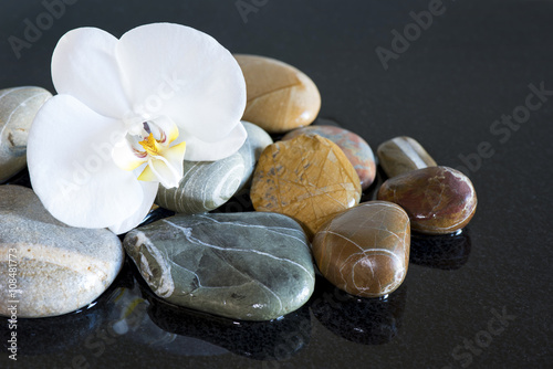 Naklejka nad blat kuchenny Stones and orchid on black background