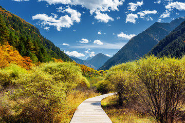 Wall Mural - Boardwalk across autumn forest among scenic wooded mountains