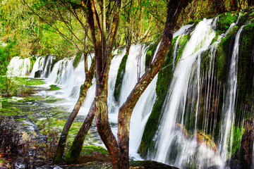 Wall Mural - Scenic waterfall with crystal clear water among green woods