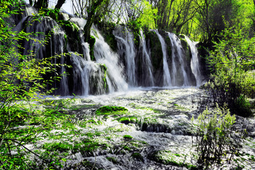 Wall Mural - Beautiful waterfall with crystal clear water among green forest