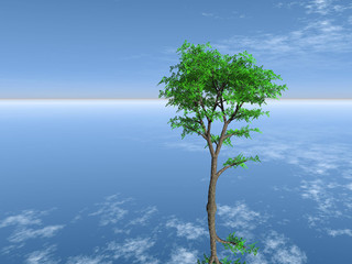 green tree in the blue water