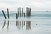 Old Jetty Piles At St. Clair Beach, Dunedin During Sunset, New Zealand