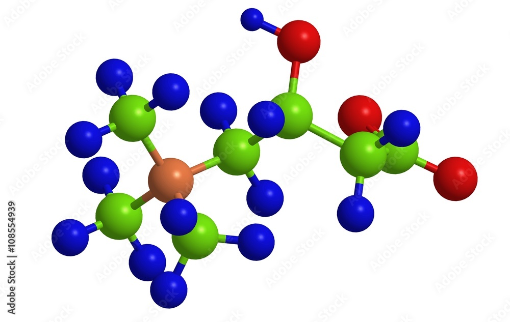 Molecular structure of L-carnitine (vitamin B20) Stock Illustration