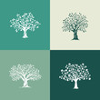 Beautiful oak, olive and maple trees silhouette set on green background. Modern isolated vector sign. 
Premium quality illustration logo design concept.