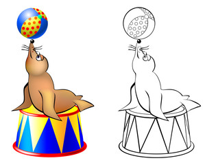 Wall Mural - Colorful and black and white pattern seal in a circus, vector cartoon image.