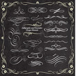 Collection of Calligraphic Decorative Elements and Designs