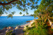 Amazing rocky beach with cristalic clean sea water with pine trees n the coast of Adriatic Sea, Istria, Croatia