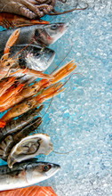 Seafood Placed On Ice Drift