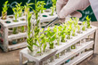 © shaiith - University lab exploring new methods of plant breeding