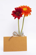 Yellow Paper Card With Red And Orange Daisy Flower On White Background