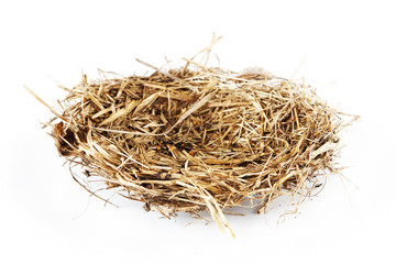 Empty bird nest isolated on white background