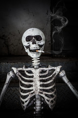 Wall Mural - Still life Smoking human skeleton with cigarette, people smoke c