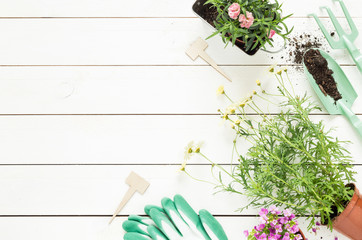 Wall Mural - Spring - gardening tools and flowers in pots on white wood