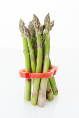 Wall Mural - Bunch of asparagus tied with red bell pepper ring, isolated on white background.