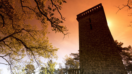 Wall Mural - Tour de Samois en forêt de Fontainebleau