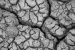 Texture of land dried up by drought, the ground cracks background 
