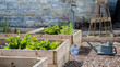 Rustic Country Vegetable & Flower Garden with Raised Beds. Spade & Watering Can
