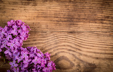 Lilac Flowers On Dark Brown Wood Table