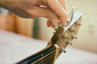 Tuning the guitar. Fingers are turning the tuning peg on the head of acoustic guitar. Authentic shot with blurred room in the background.