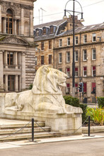 Glasgow Lion Statue