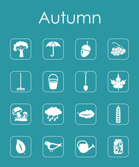 Wall Mural - Set of autumn simple icons