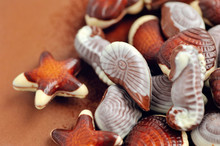 Mixed Of Chocolate Seashell Candies