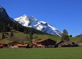 Fototapeta Tęcza - Snow covered Mt Oldenhorn and Swiss chalets on a green meadow