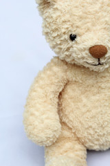 teddy bear on blue background