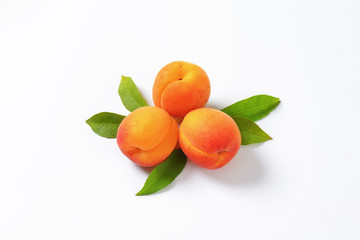 Poster - Fresh apricots