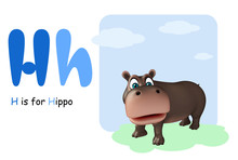 Hippo With Alphabet