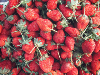 Canvas Print - Fresh strawberries