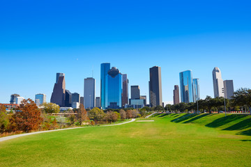 Fototapete - Houston skyline in sunny day from park grass