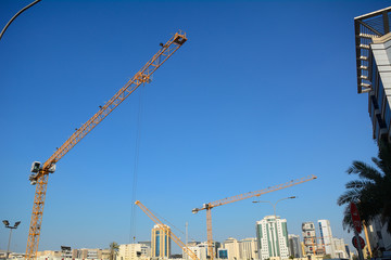 Cranes, Doha, Qatar