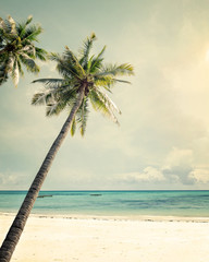 Landscape of palm trees at tropical beach coast, vintage color tone and film stylized