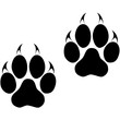 Footprints of a big cat. Panther or tiger traces. Vector ESP10