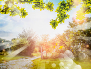 Wall Mural - Green foliage over Country nature background with sun rays and bokeh. Summer countryside nature background