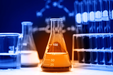 Wall Mural - glassware with chemical in laboratory
