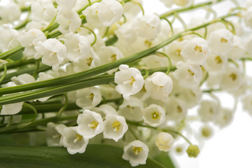 Wall Mural - a bouquet of lily of the valley close-up